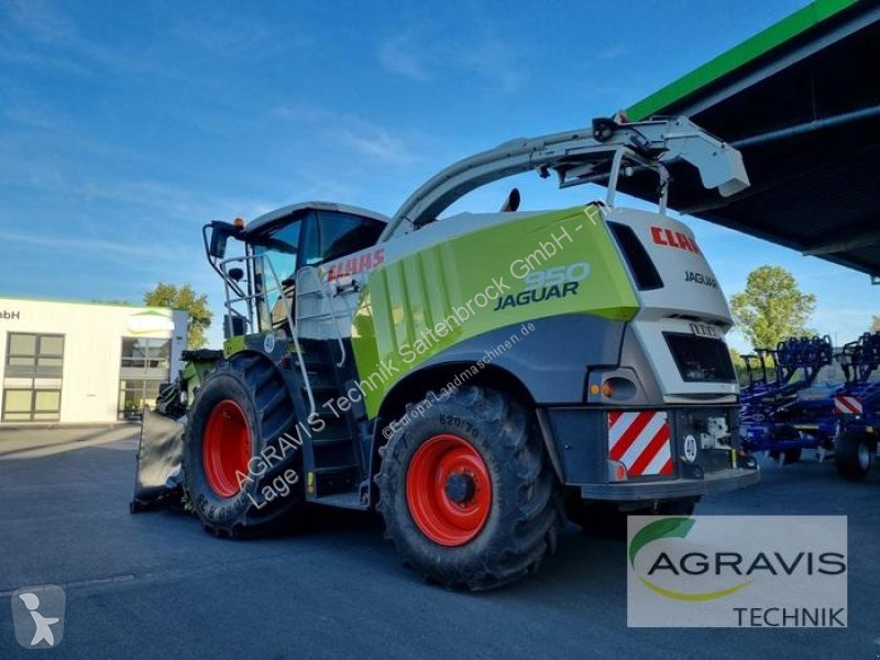 Ensileuse automotrice Claas JAGUAR 950 - Photo 3